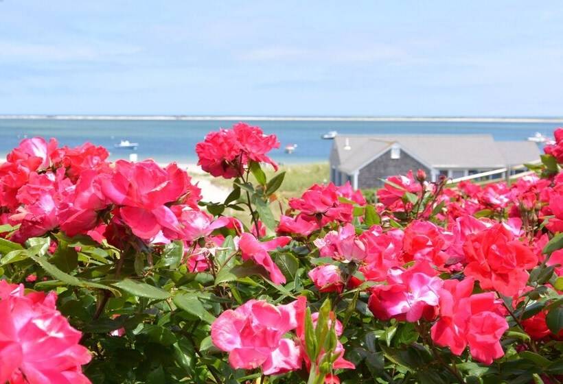 Отель The Hawthorne