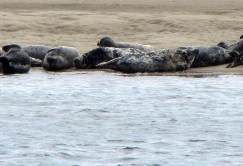 酒店 The Hawthorne