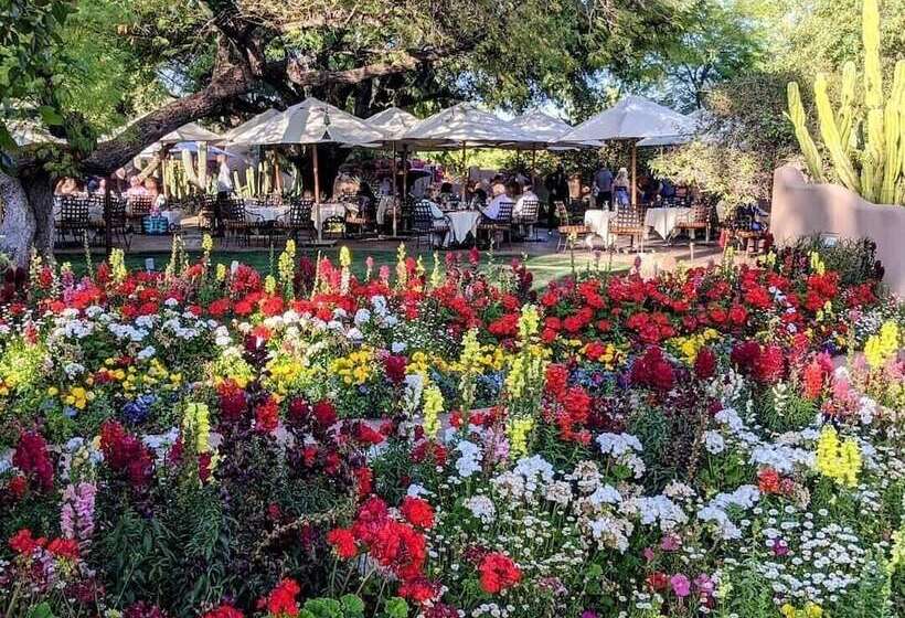 酒店 The Hermosa Inn