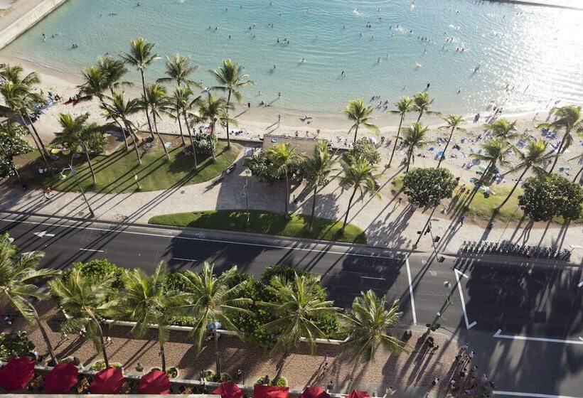 בית מלון כפרי The Twin Fin