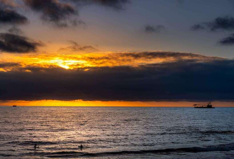 The Volare, Ascend Hotel Collection