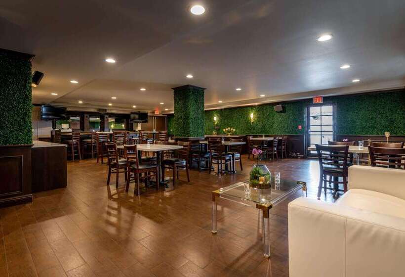 The Volare, Ascend Hotel Collection