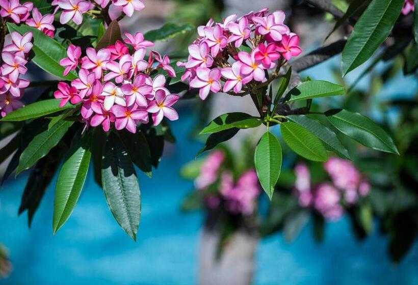 Opal Key Resort & Marina