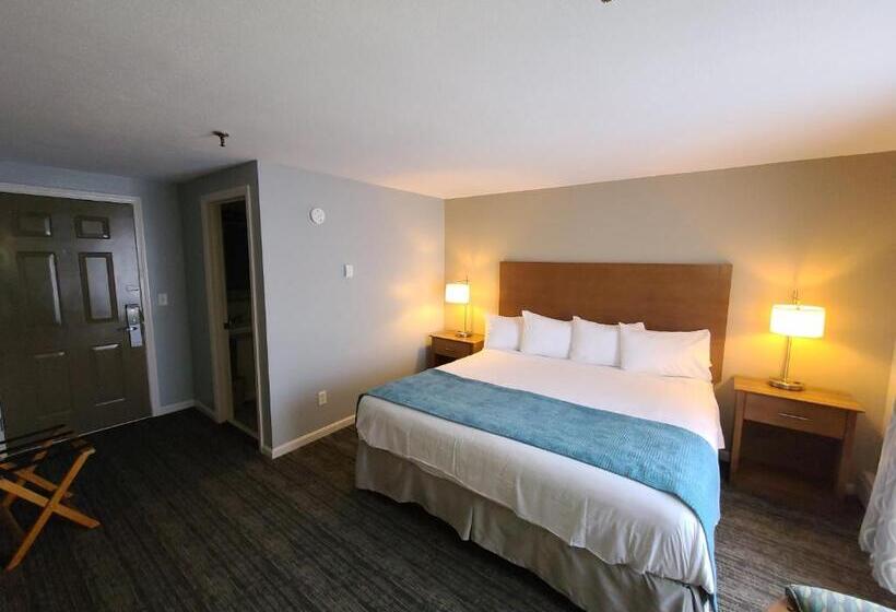 استراحتگاه Hampton Village Inn