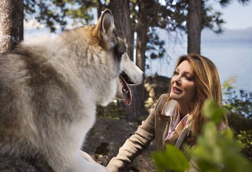 Harveys Lake Tahoe Resort & Casino