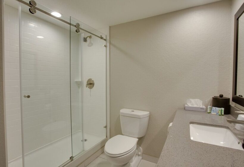 The Hotel Hot Springs