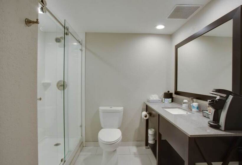 The Hotel Hot Springs