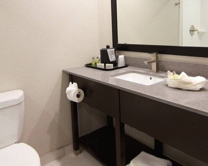 The Hotel Hot Springs