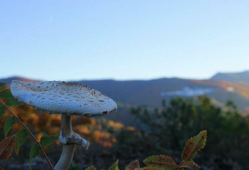 Apartment Frasquita Boa