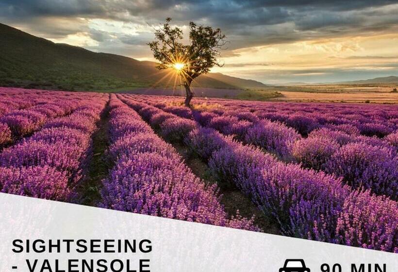 Appartement  Le Petit Avignonnais Magnanens Intramuros