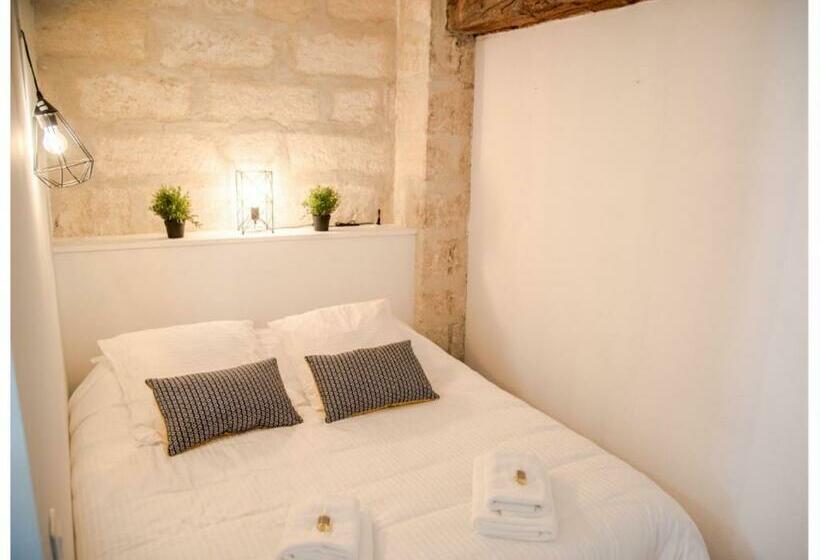 Appartement  Le Petit Avignonnais Magnanens Intramuros