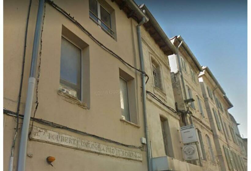 Appartement  Le Petit Avignonnais Magnanens Intramuros