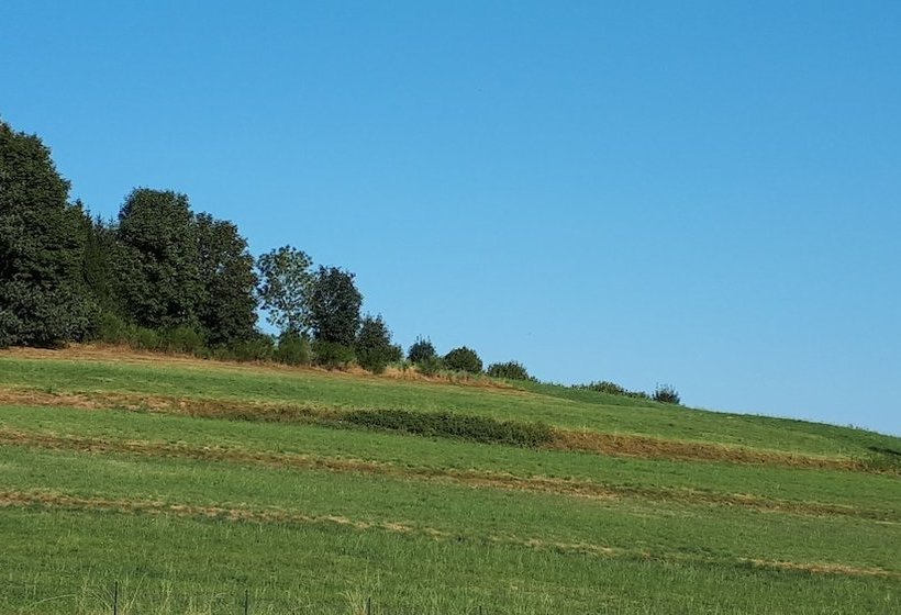 Au Petit Bonheur Vosgien Gîte Les Brimbelles
