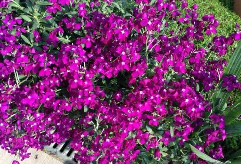 민박 Chambres D Hôtes Des Tourelles