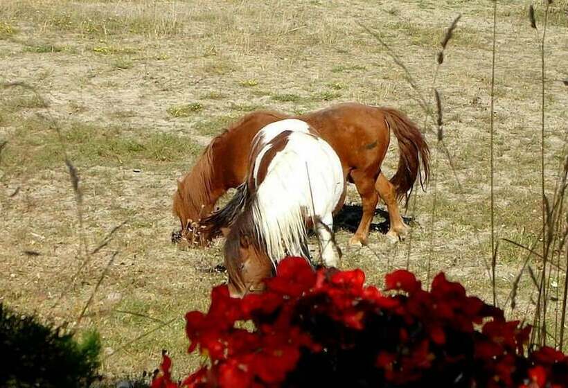 בית מלון כפרי Camping Des Rosieres