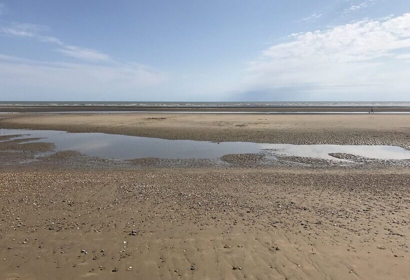 酒店 Rebecca Caravan Camber