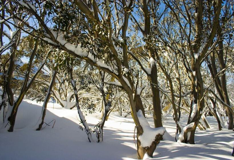 Hotham Sun Apartments