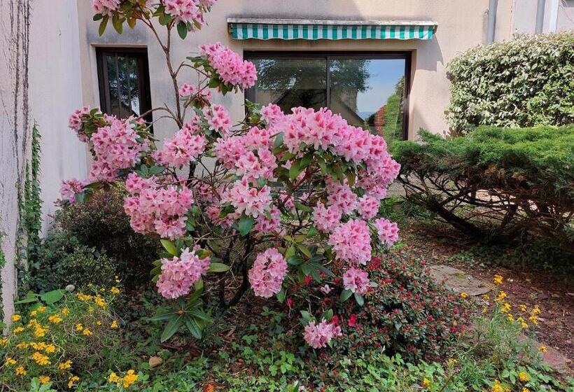 Le Denyspuech 55m2 Plein Centre Avec Jardin!