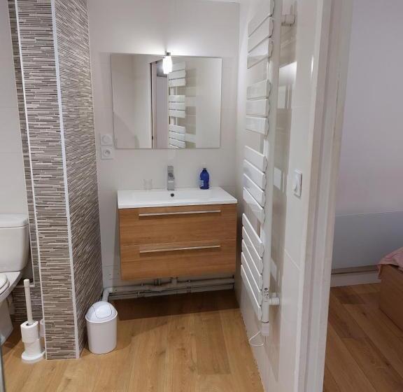 Le Denyspuech 55m2 Plein Centre Avec Jardin!