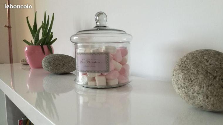 Le Denyspuech 55m2 Plein Centre Avec Jardin!