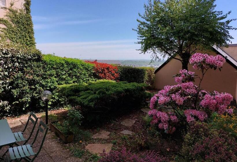 Le Denyspuech 55m2 Plein Centre Avec Jardin!