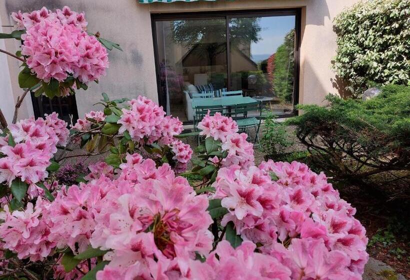 Le Denyspuech 55m2 Plein Centre Avec Jardin!