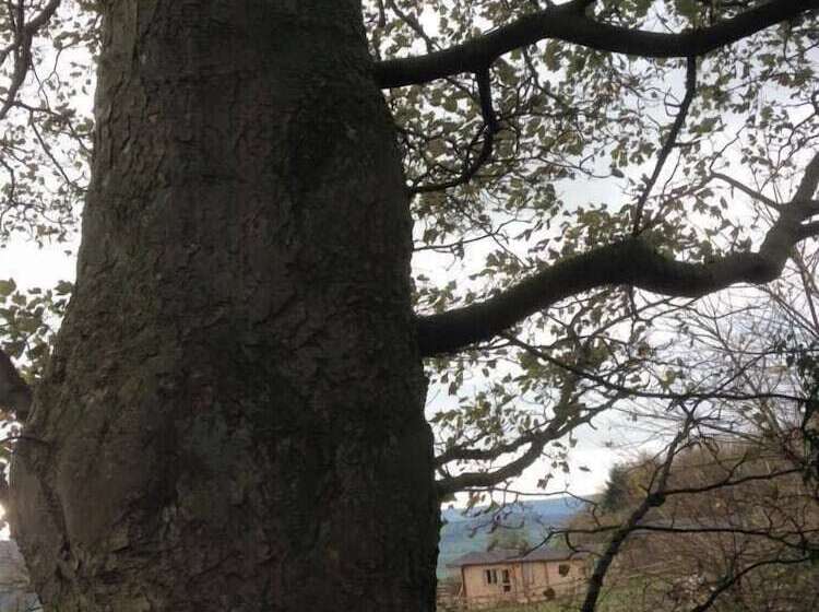 Long Mountain Centre