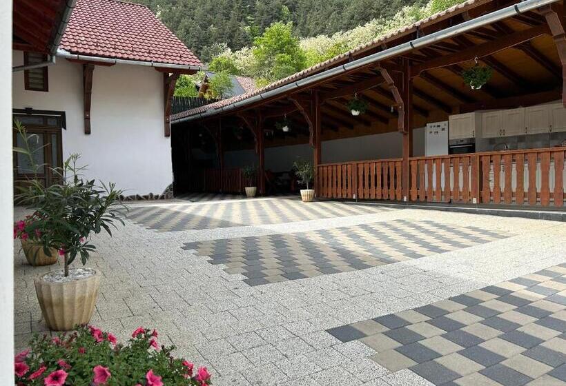 Pensiunea Hanzu Darius