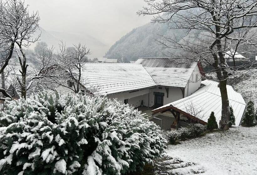 Pensiunea Hanzu Darius