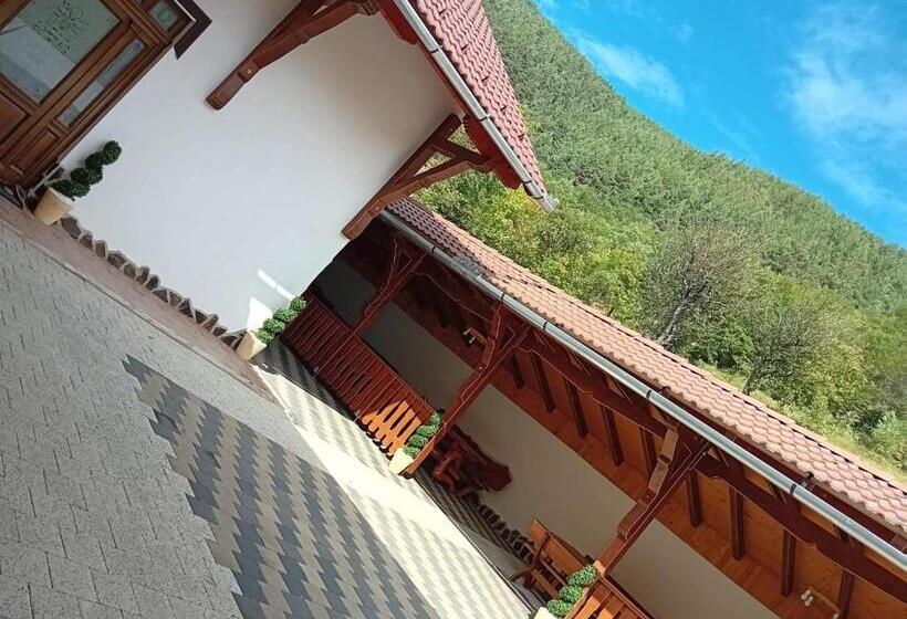 Pensiunea Hanzu Darius