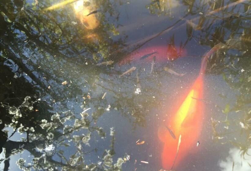 La Roseraie Camarguaise