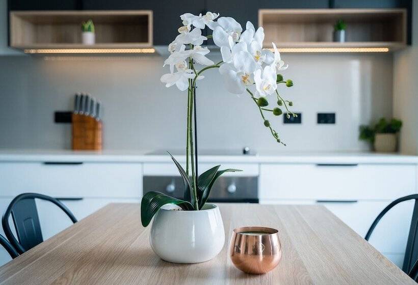 Youngtown Executive Apartments   2br Included, Free Parking & Wifi, Sofa Bed & Cot Fee Applies