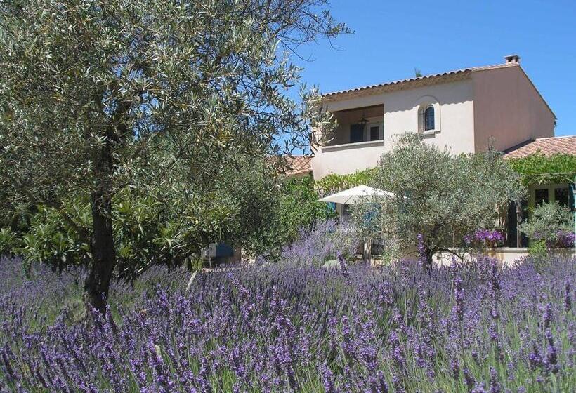 ベッドアンドブレックファースト Clos Des Lavandes   Chambres Et Suites De Charme Climatisées Luberon