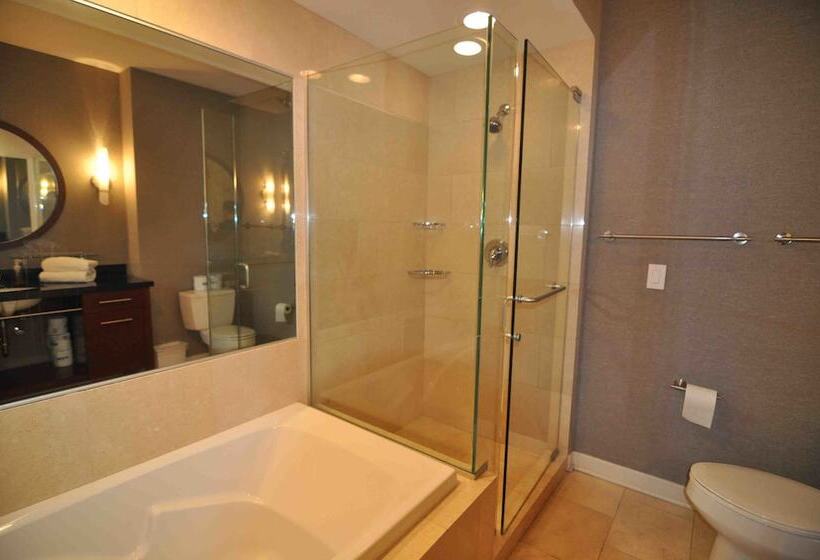 Chicago Downtown Condo   Michigan Ave Suite Id 14 15