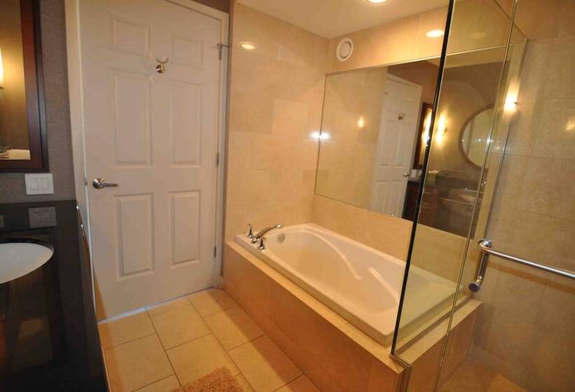 Chicago Downtown Condo   Michigan Ave Suite Id 14 15