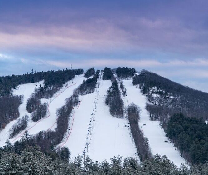 Cranmore Condominium Lodging