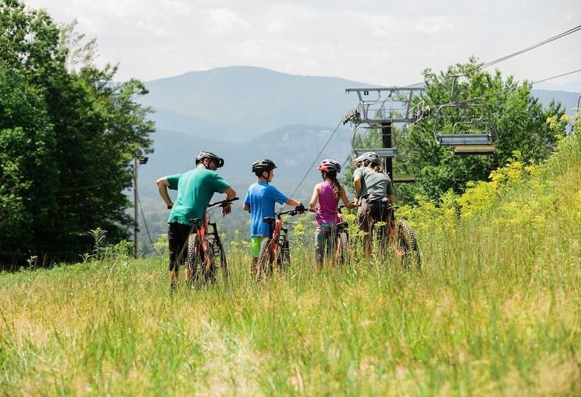 Cranmore Condominium Lodging