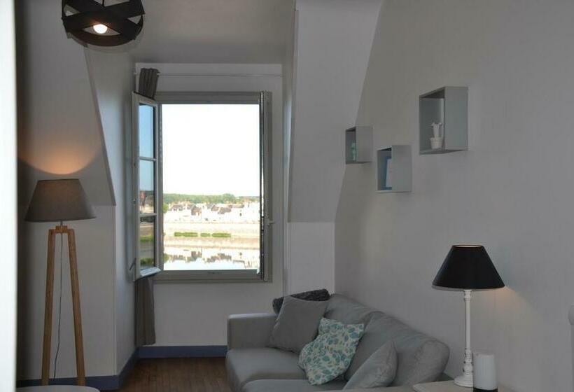 Entre Loire Et Chateau   Vue Sur La Loire