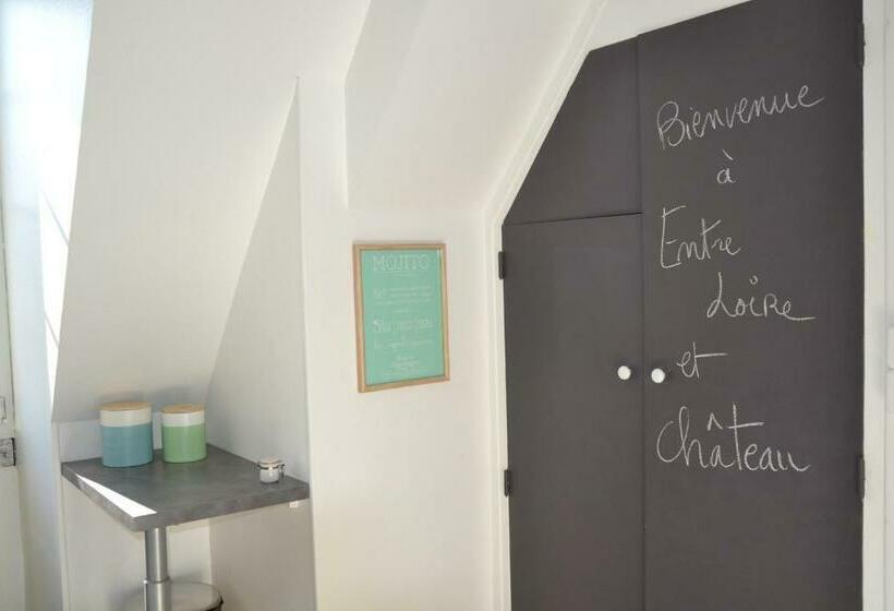 Entre Loire Et Chateau   Vue Sur La Loire