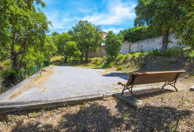 Grande Villa à Sainte Maxime   Golfe De Saint Tropez