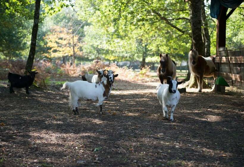 Отель Camping Domaine De La Forge