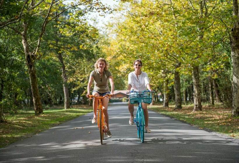 Отель Camping Domaine De La Forge