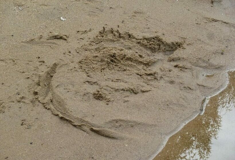 ホテル La Fauvette