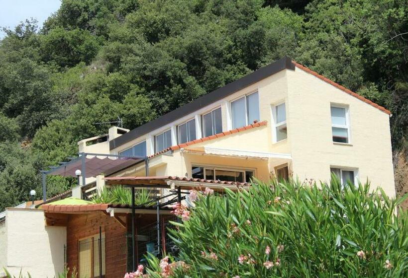 Mas Solar D En Malcion