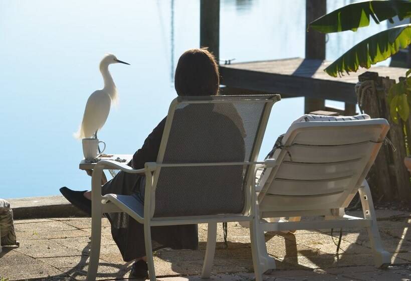 Oasis At John S Pass Madeira Beach