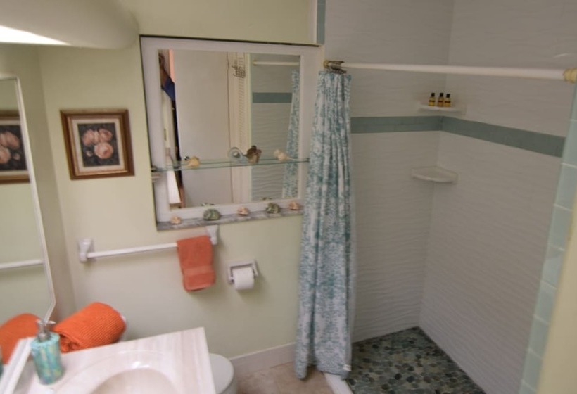 Oasis At John S Pass Madeira Beach