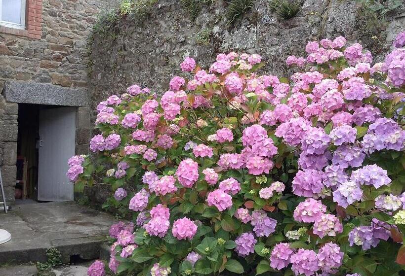 بنسيون Chez Catie