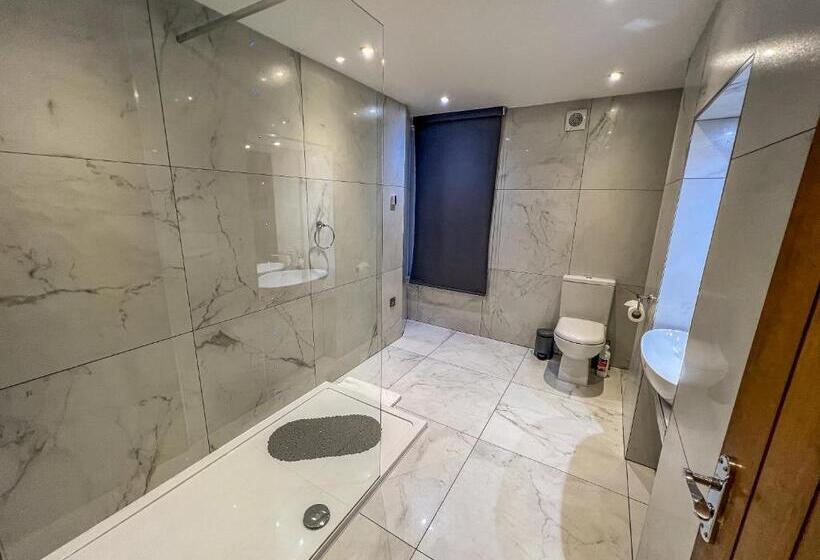 פנסיון Fountain House