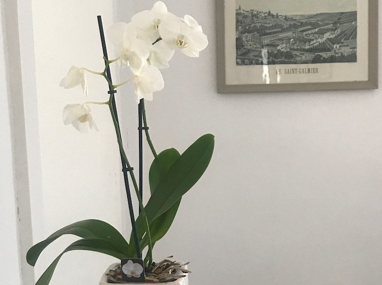 ペンション Maison Ladevèze