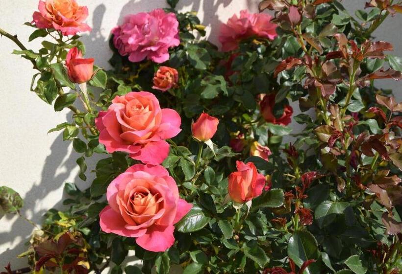 ベッドアンドブレックファースト La Villa 13&15